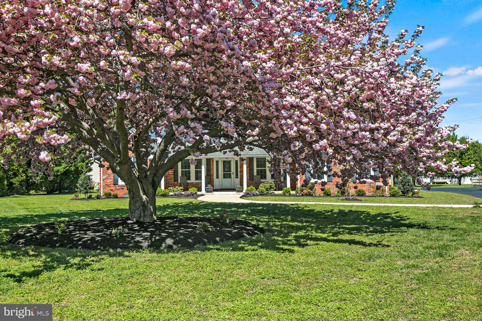 SHEEHANS - Residential