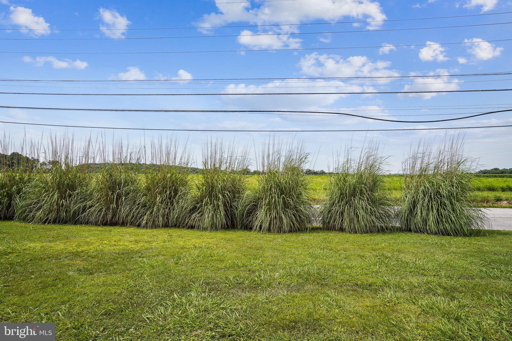 DUNDEE HARBOR - Residential