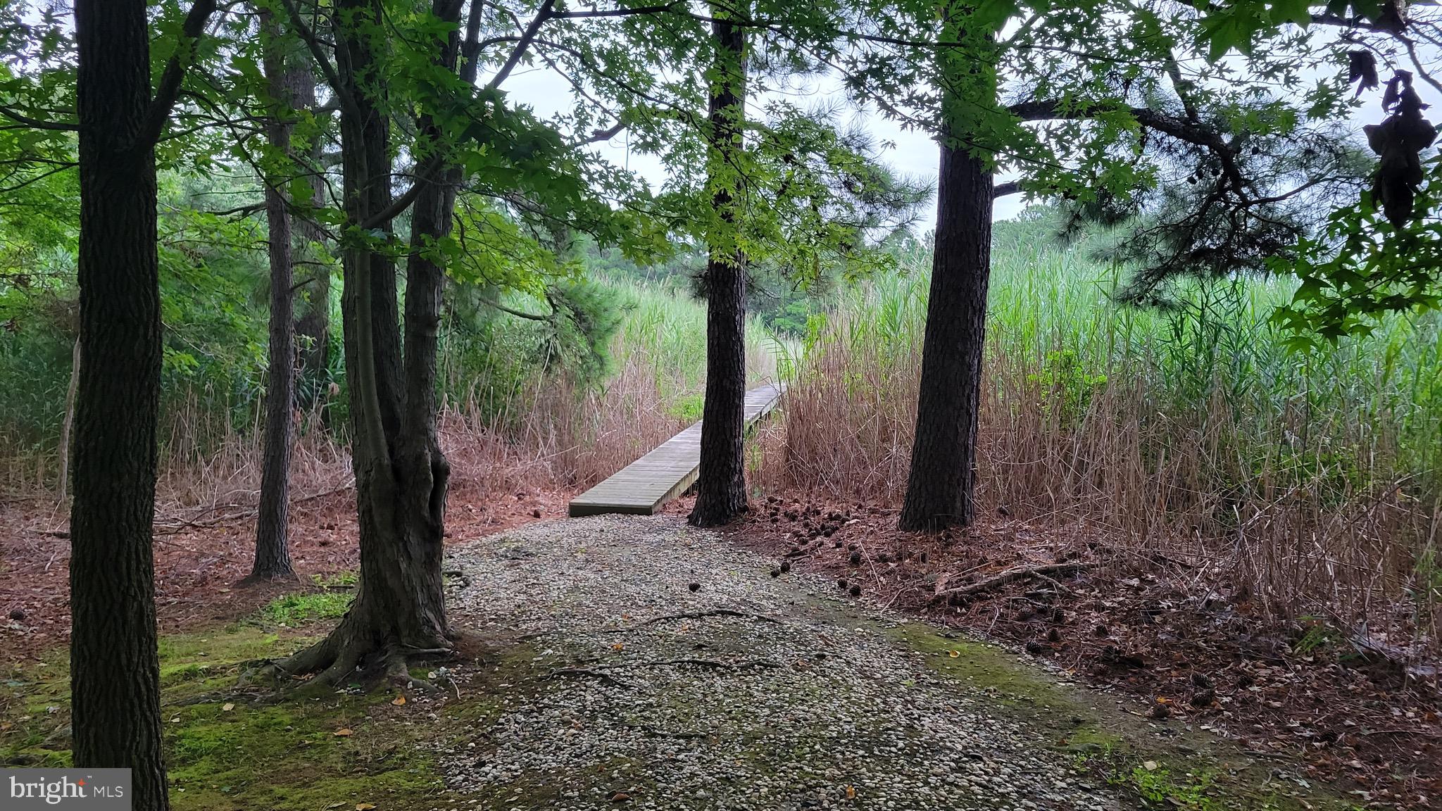 DUNDEE HARBOR - Residential