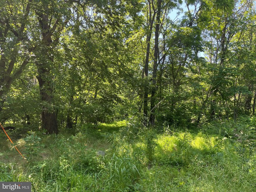 SELLERS ARE MOTIVIATED! BRING US AN OFFER!  SELLER FINANCING AVAILABLE! Beautiful Wooded 7.25 Acre Lot will need Alternative Septic System. Very private Lot, perfect for your future home!
