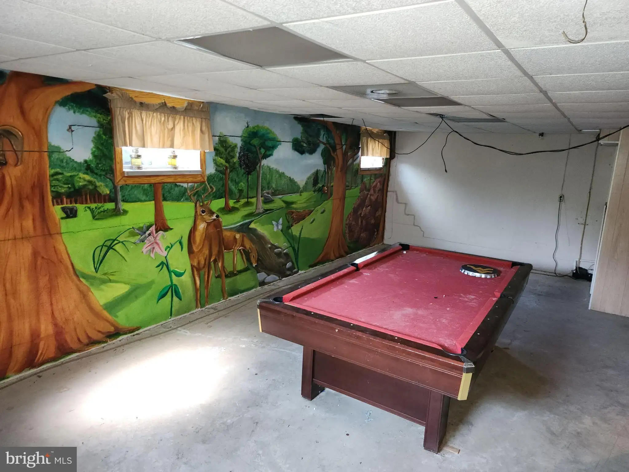 Additional image 45 of 5504 Big Tyler Road, Charleston, WV 25313