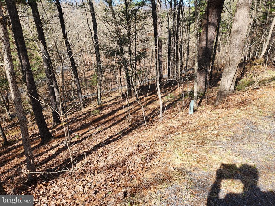 This is an easy lot on which to build your Home and in a very desirable section of Bryce Mt. The surrounding Homes in this Generals section are quite nice and what you build is assured to keep it's comporable value over the years. The entrance is off of Fairway Dr, which leads to the center of the Bryce Resort activities. Be sure to include this lot in your list of potential Lots to purchase. You not be disappointed.