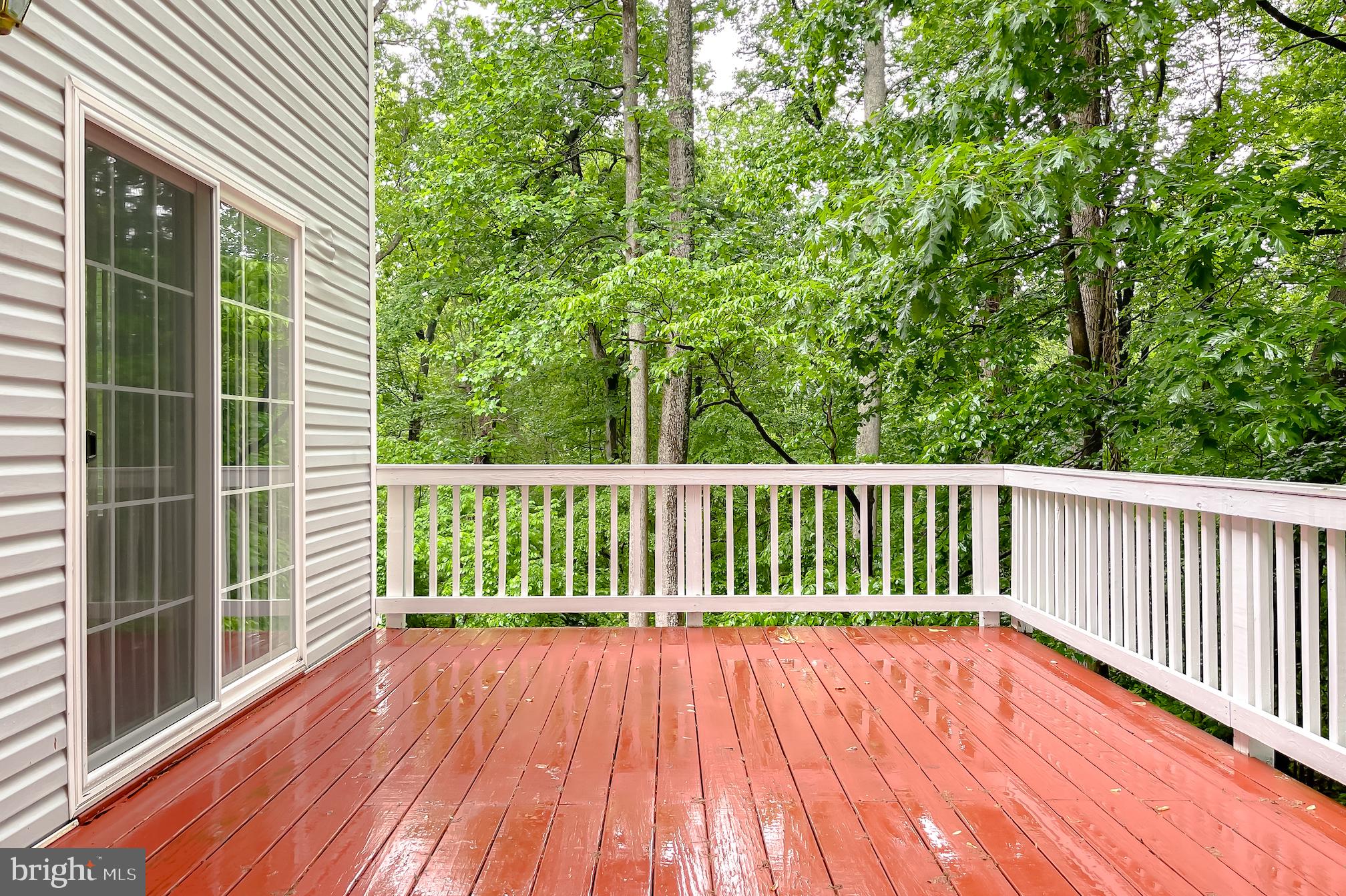 CHESAPEAKE HEIGHTS - Residential