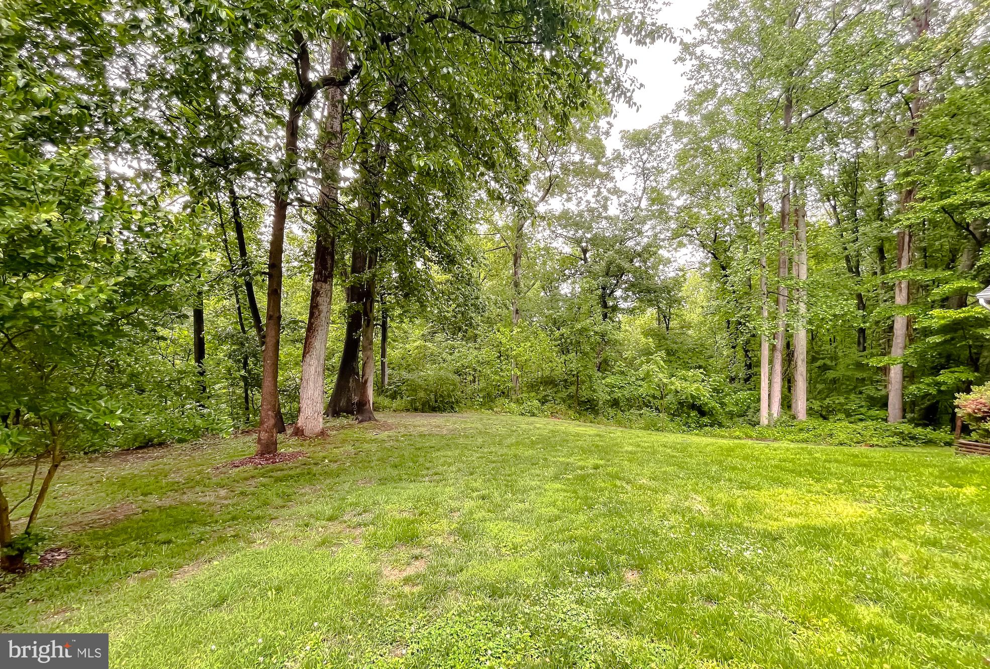 CHESAPEAKE HEIGHTS - Residential