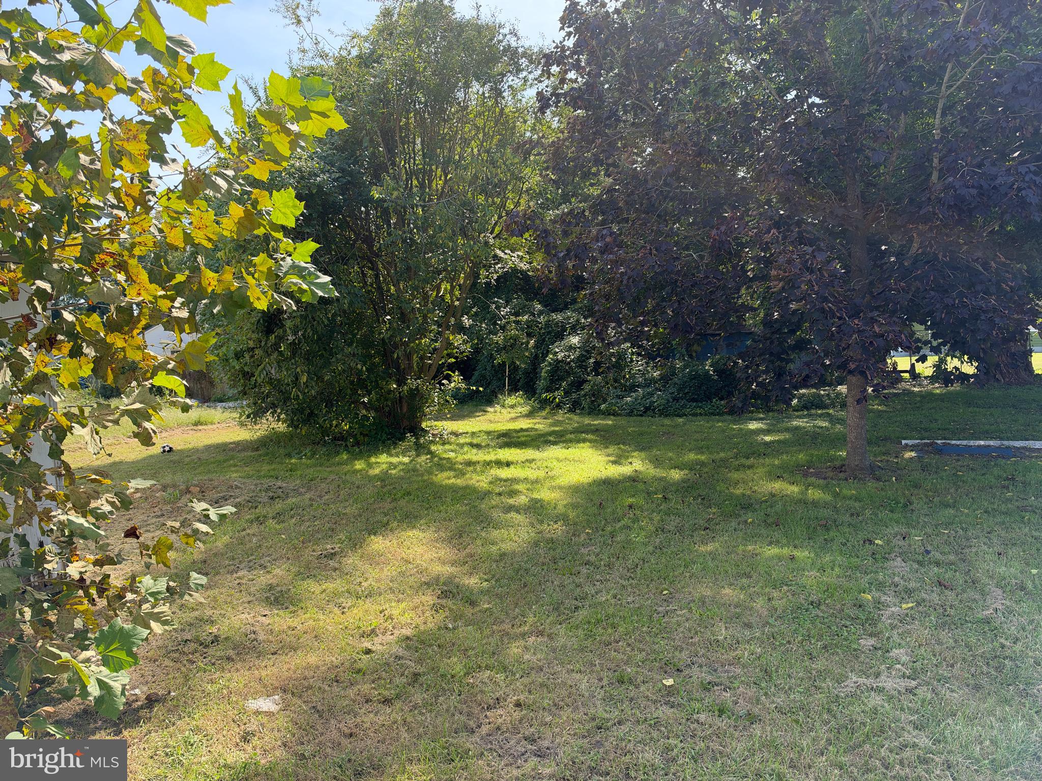 106 PURNELL STREET