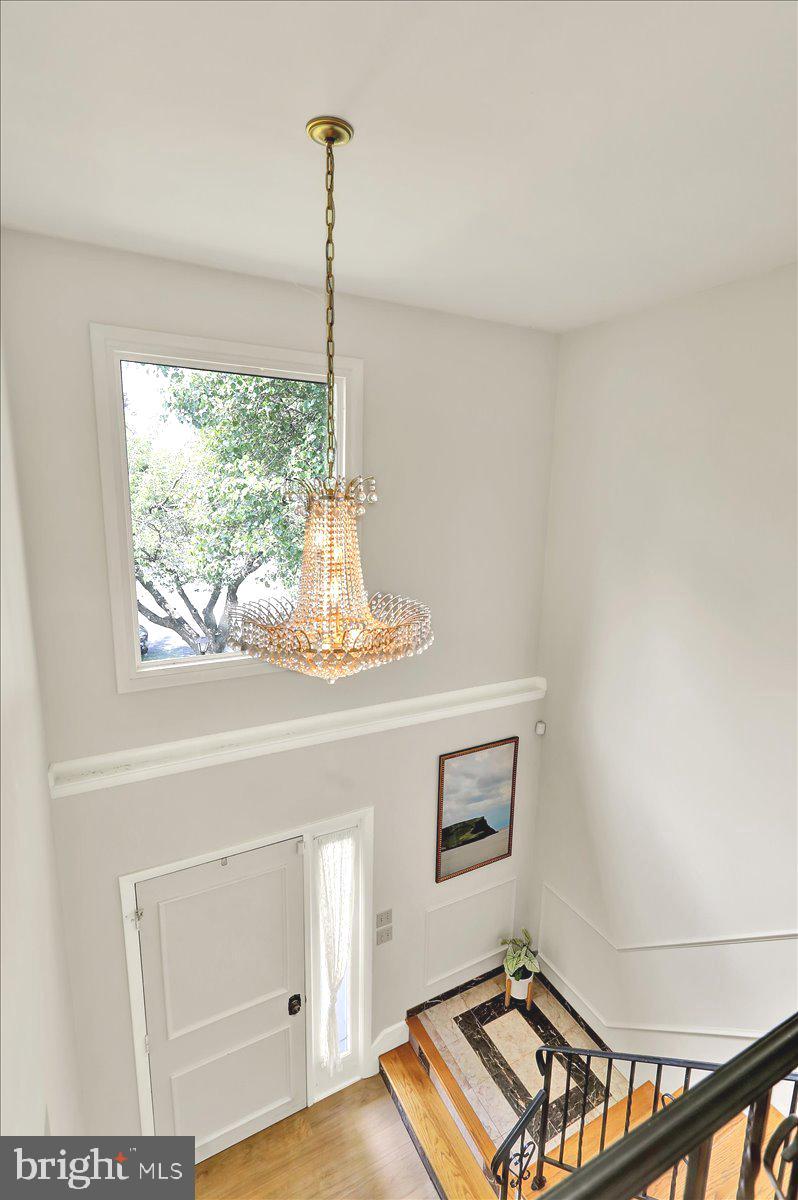 WELLINGTON DOWNES - Residential