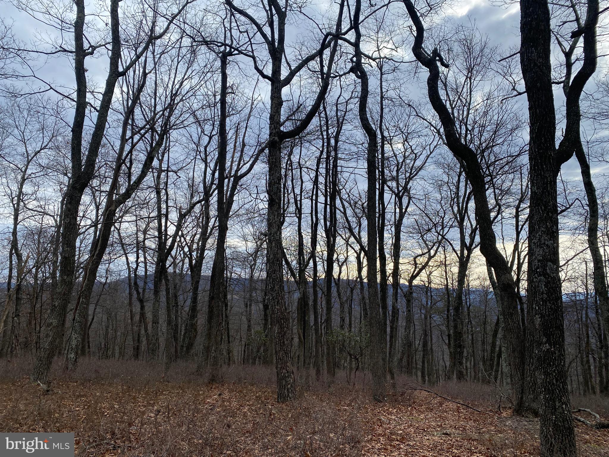 TOP OF THE MOUNTAIN - Land