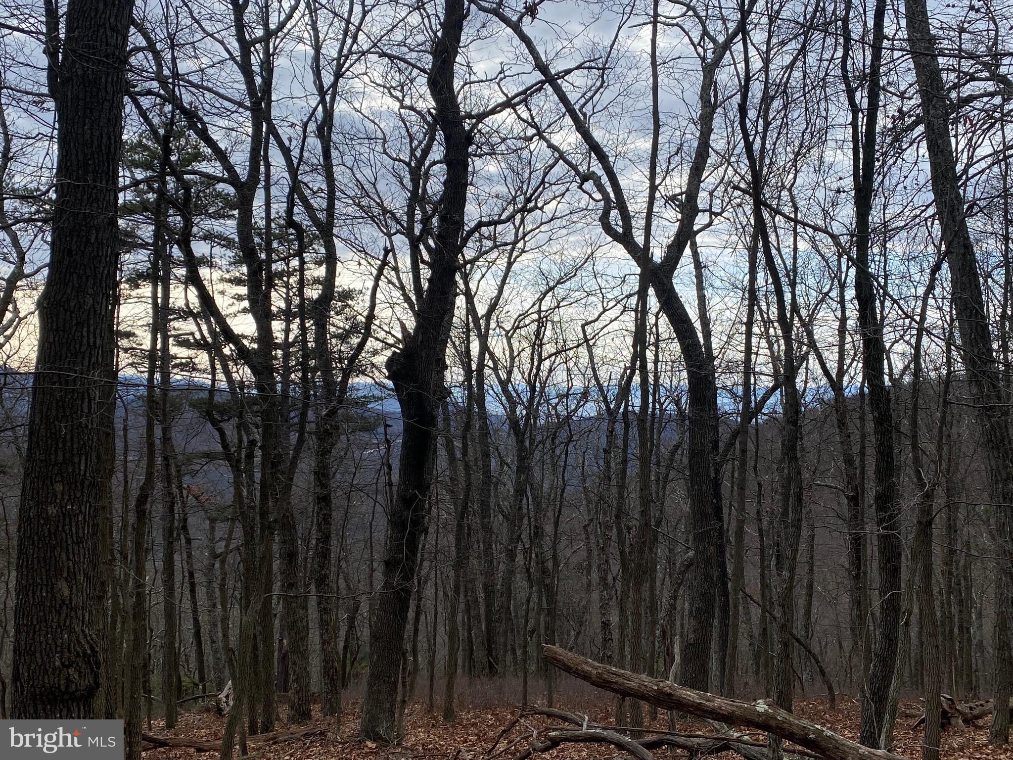 TOP OF THE MOUNTAIN - Land