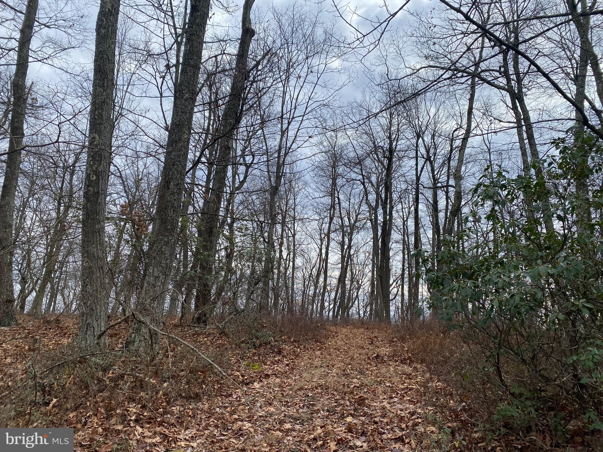 TOP OF THE MOUNTAIN - Land