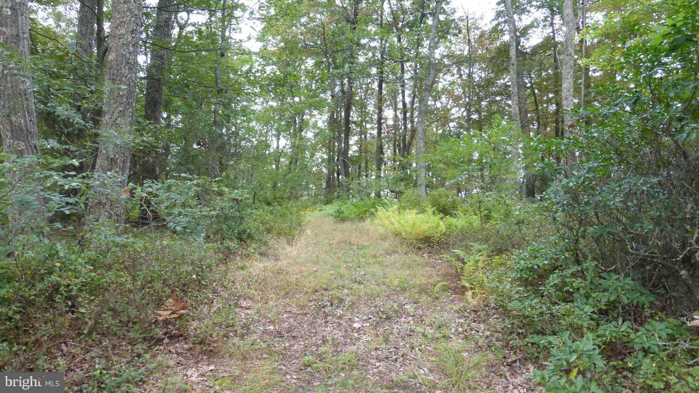 Lot 18 TOP OF THE MOUNTAIN RD