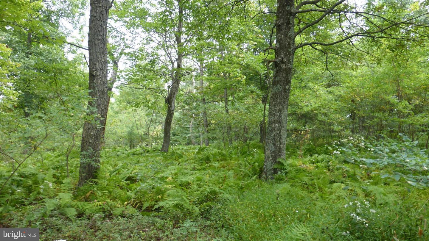 Lot 18 TOP OF THE MOUNTAIN RD