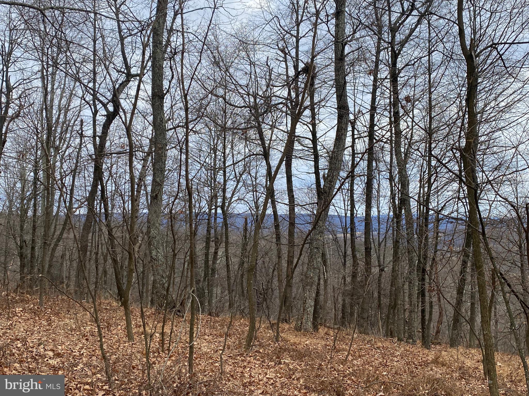 TOP OF THE MOUNTAIN - Land