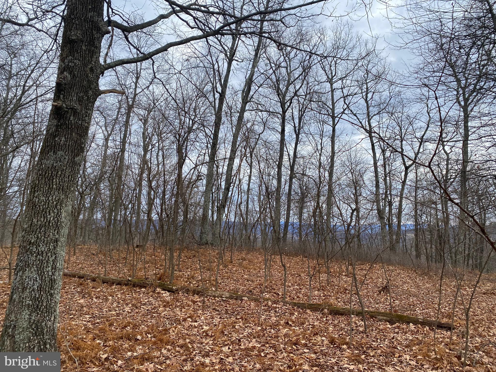 TOP OF THE MOUNTAIN - Land