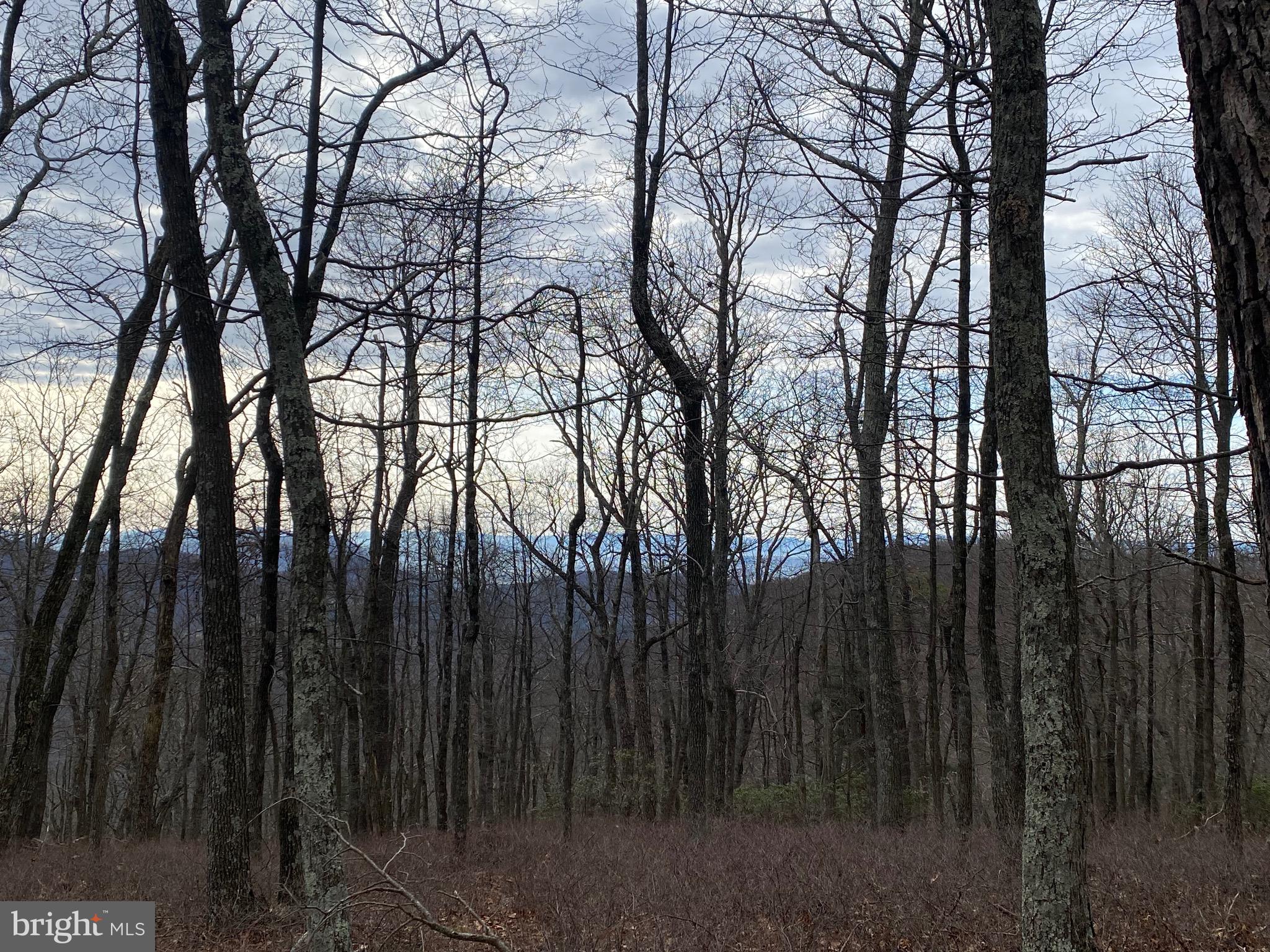 TOP OF THE MOUNTAIN - Land