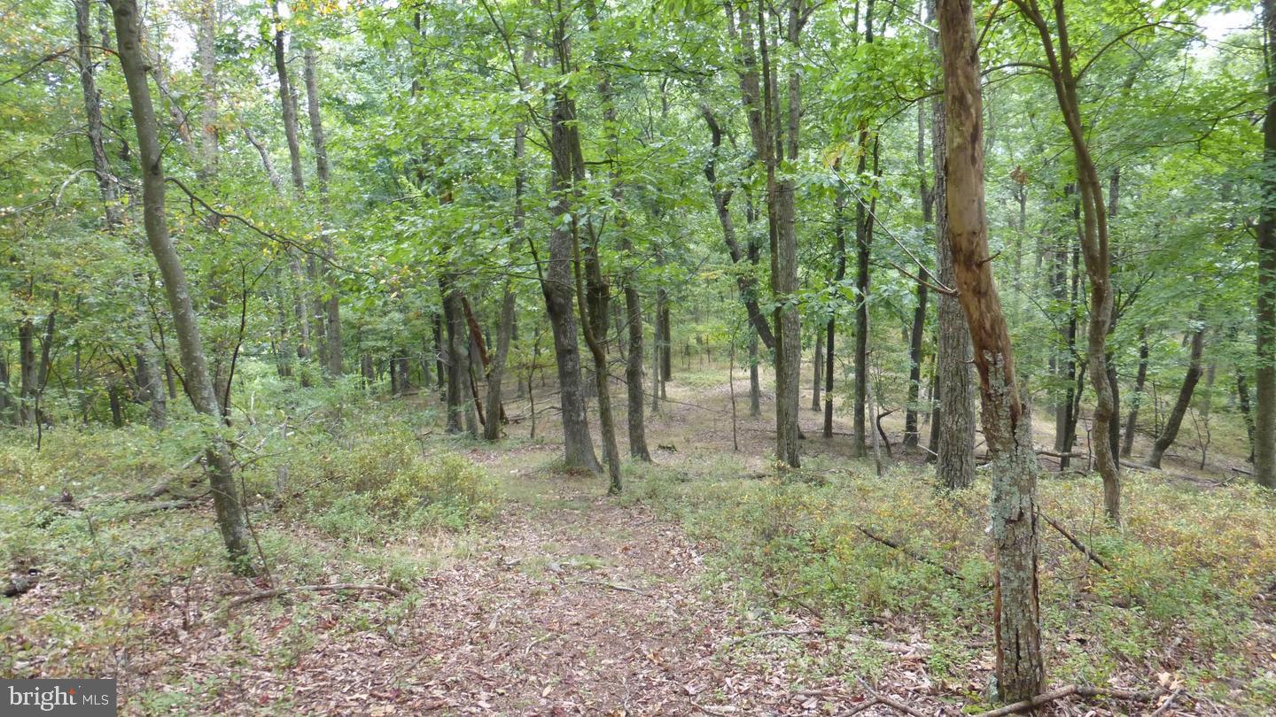 TOP OF THE MOUNTAIN - Land