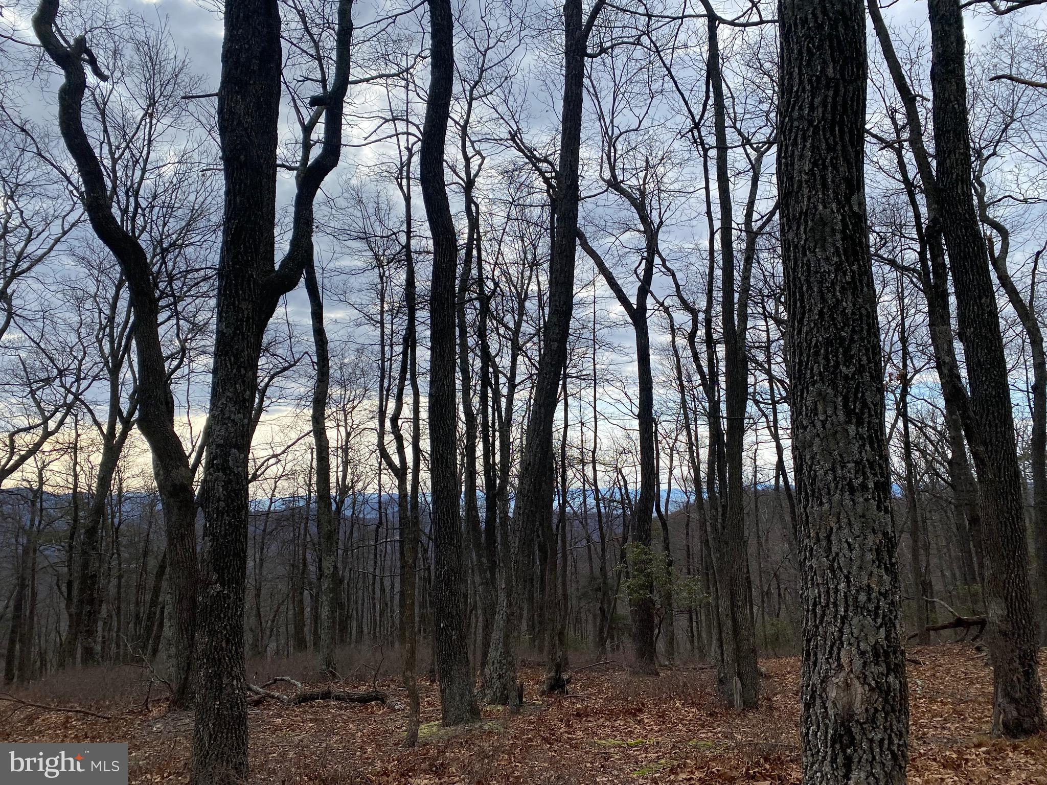 TOP OF THE MOUNTAIN - Land