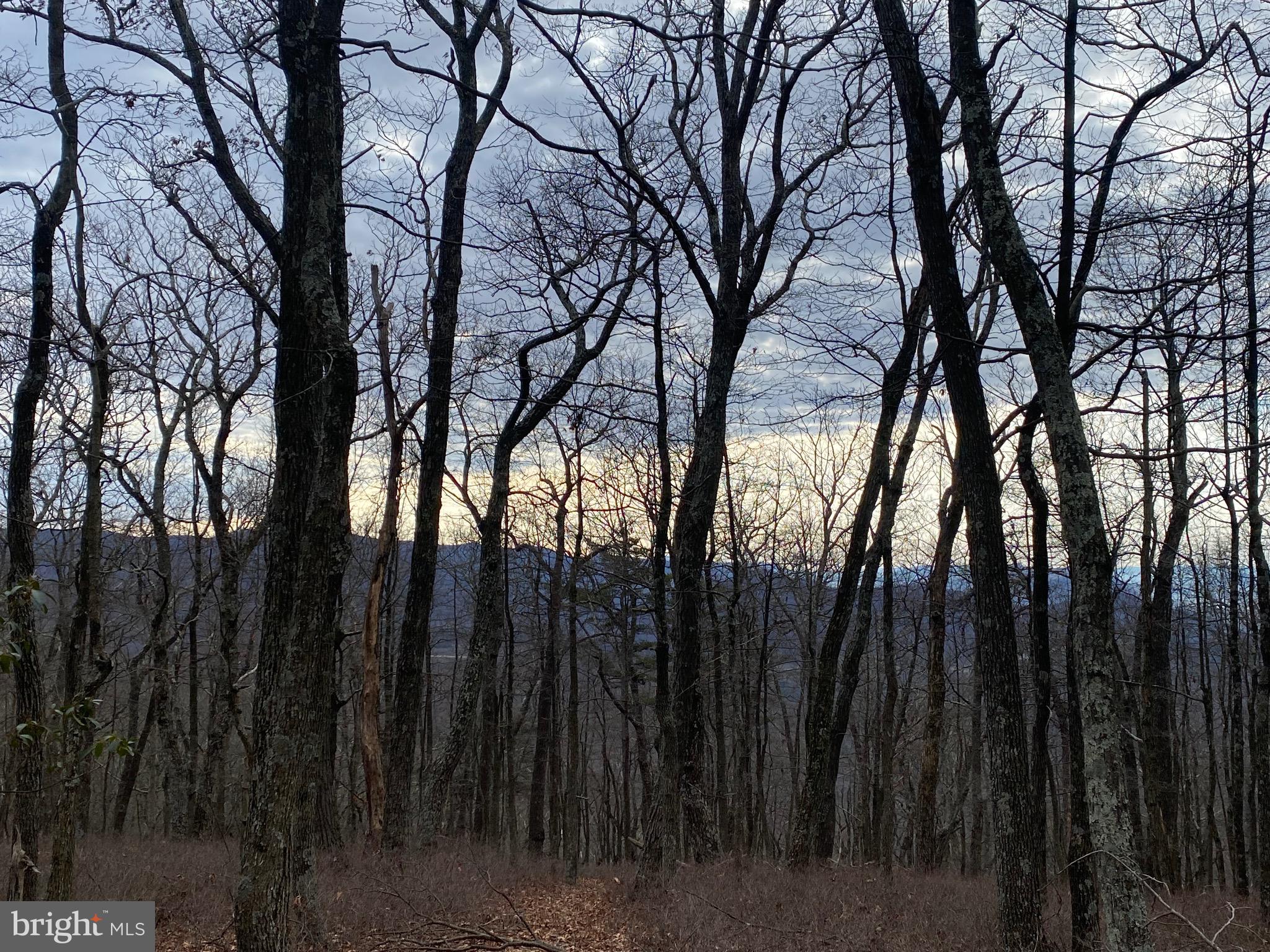 TOP OF THE MOUNTAIN - Land