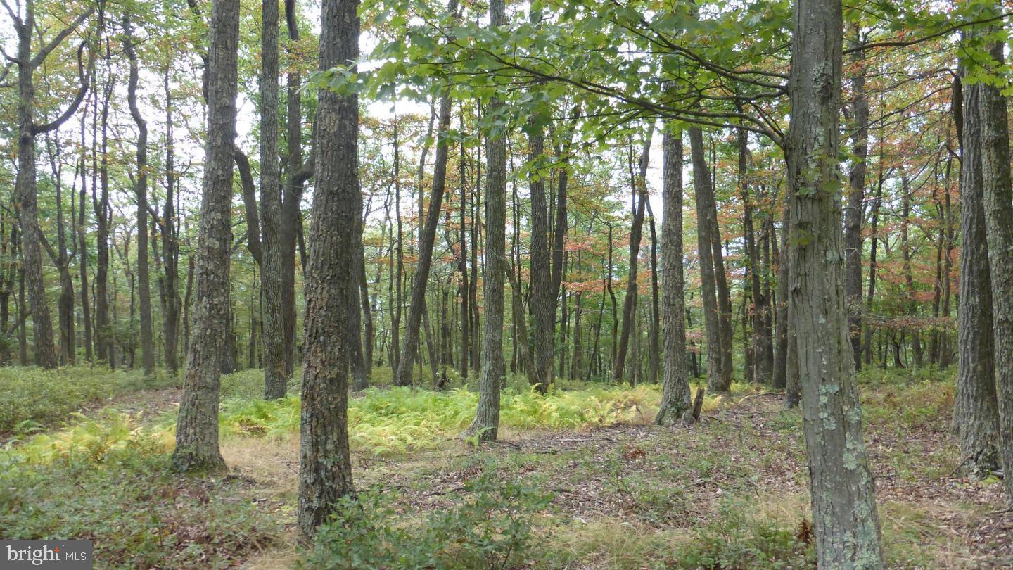 Lot 18 TOP OF THE MOUNTAIN RD