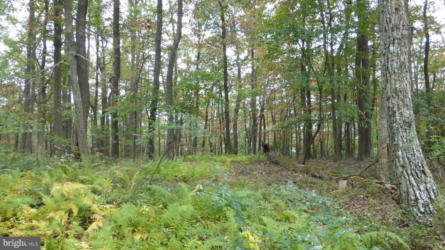 Lot 18 TOP OF THE MOUNTAIN RD