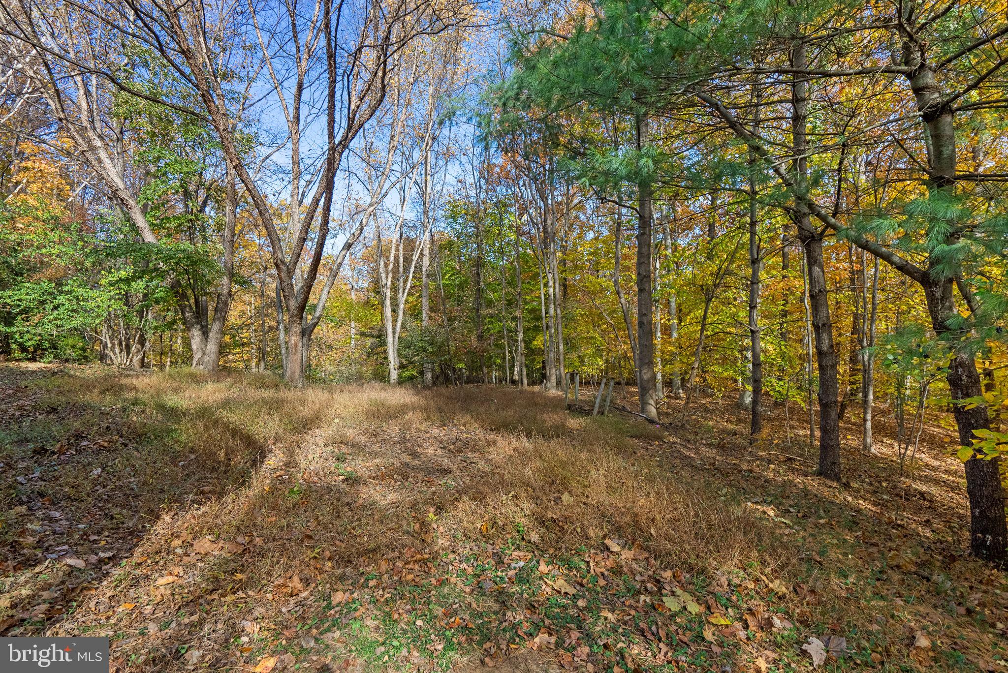 BOWLING BROOK FARMS - Residential
