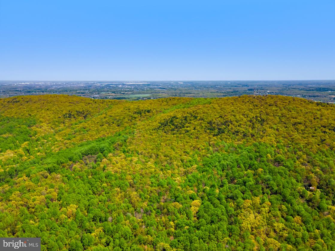 BULL RUN MOUNTAIN ROAD
