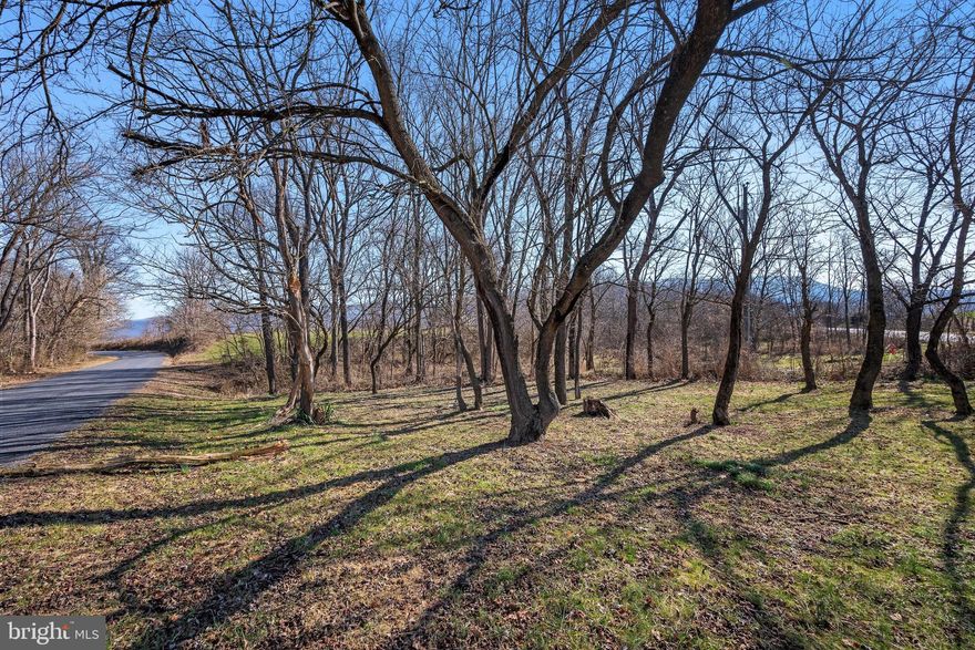 Level corner building lot just outside of town near the Shenandoah River!  Wet weather stream. Previously qualified for a 4 bedroom alternative septic system (see documents section). Come take a look and build your dream home.