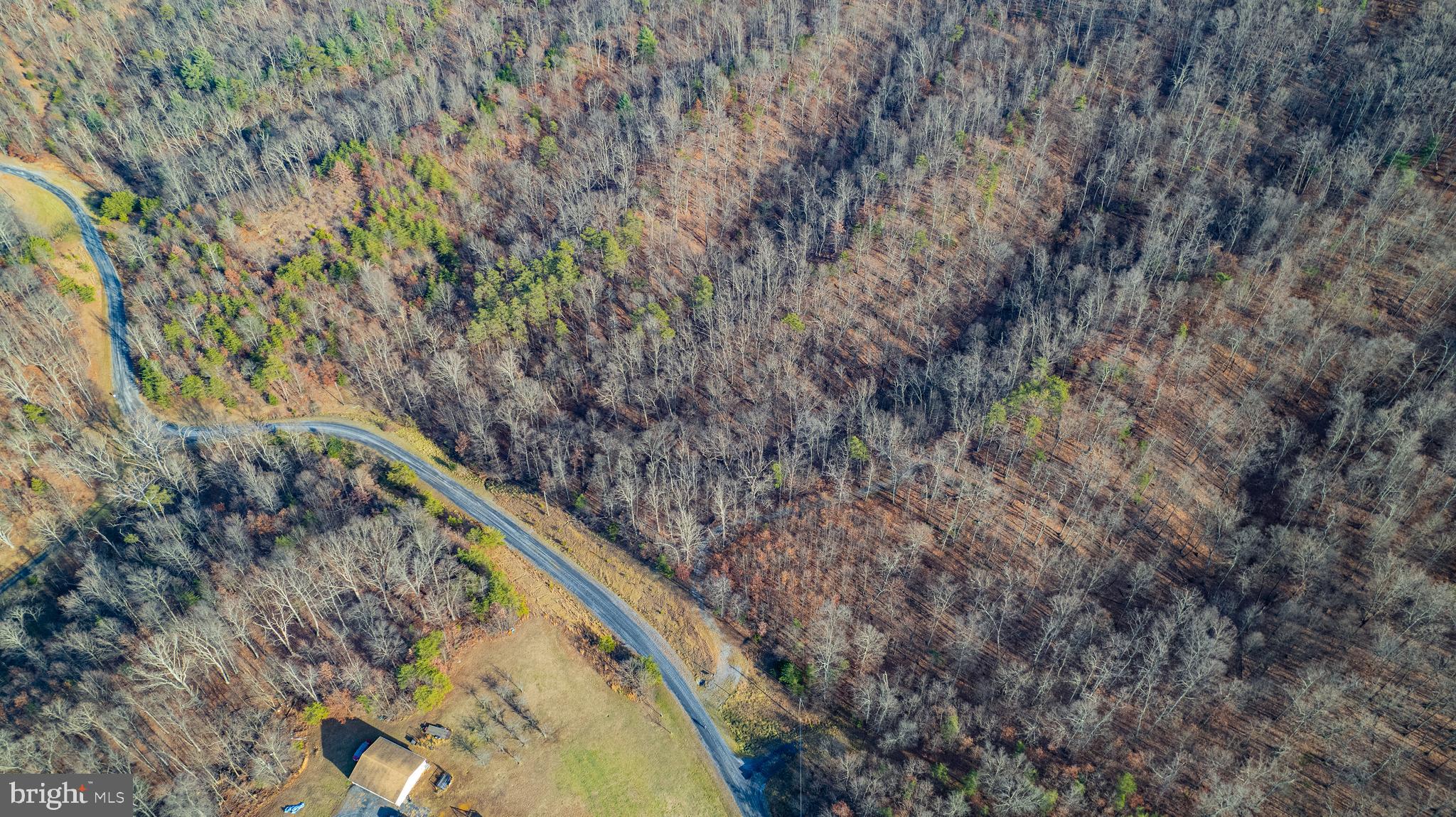 5.32-acre lot. Driveway already started. Lot mostly wooded. Excellent mountain views. Already approved for a class 1 septic system. Community is equine friendly. This beautiful lot has the perfect home site waiting... Call Today!!!