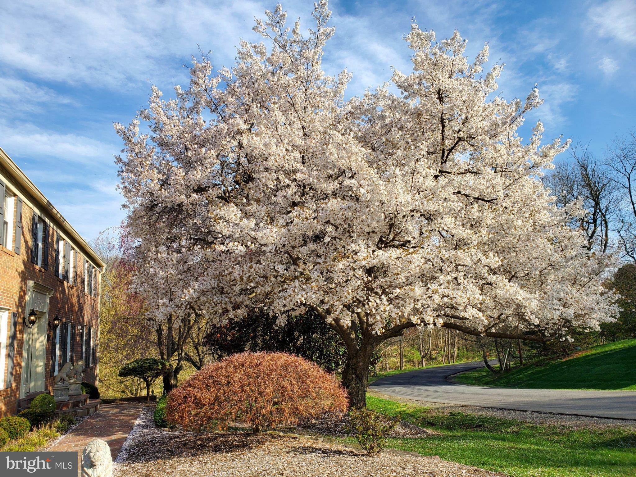 HARVEST KING - Residential