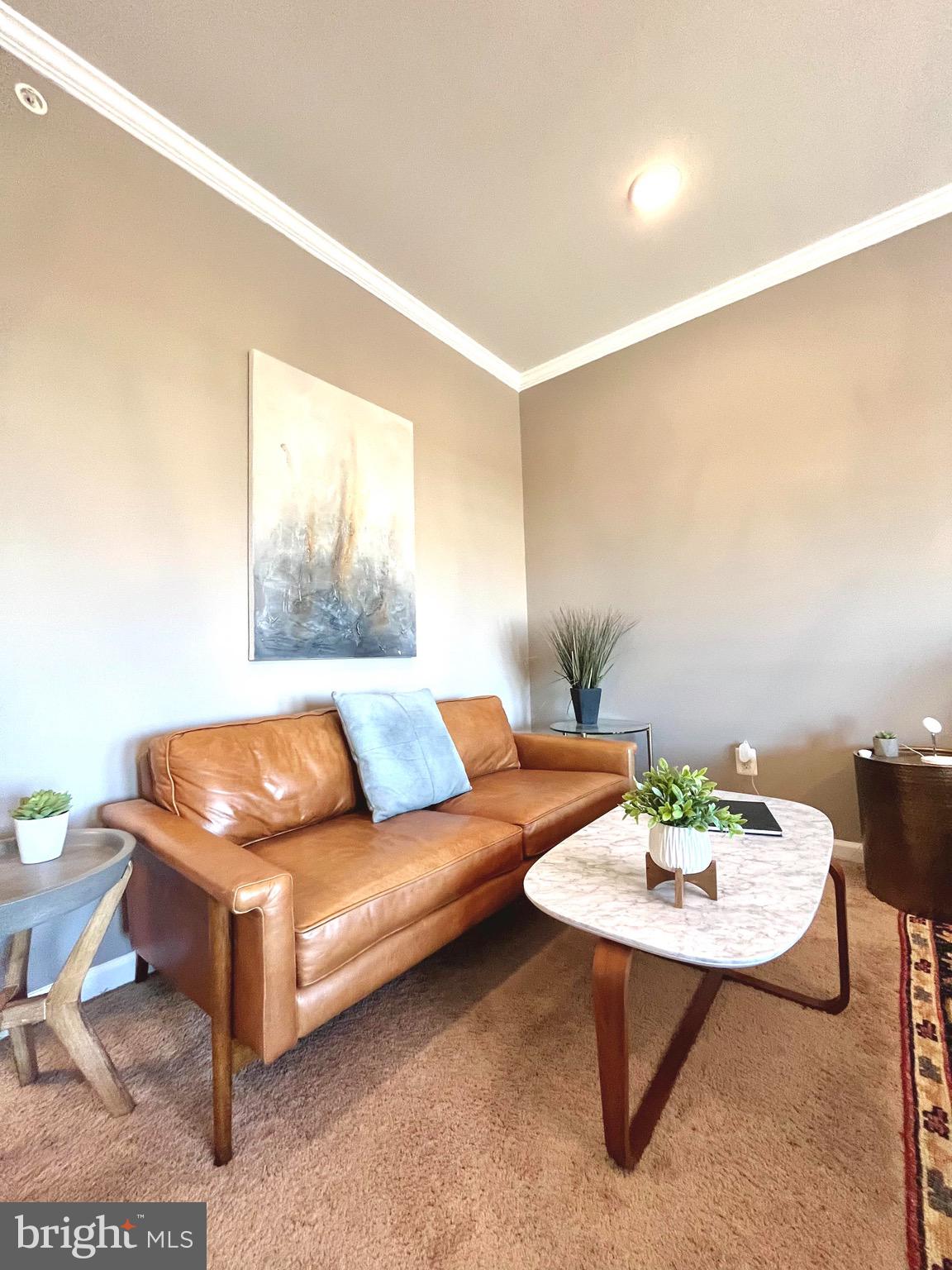 LOFTS AT VILLAGE WALK - Residential