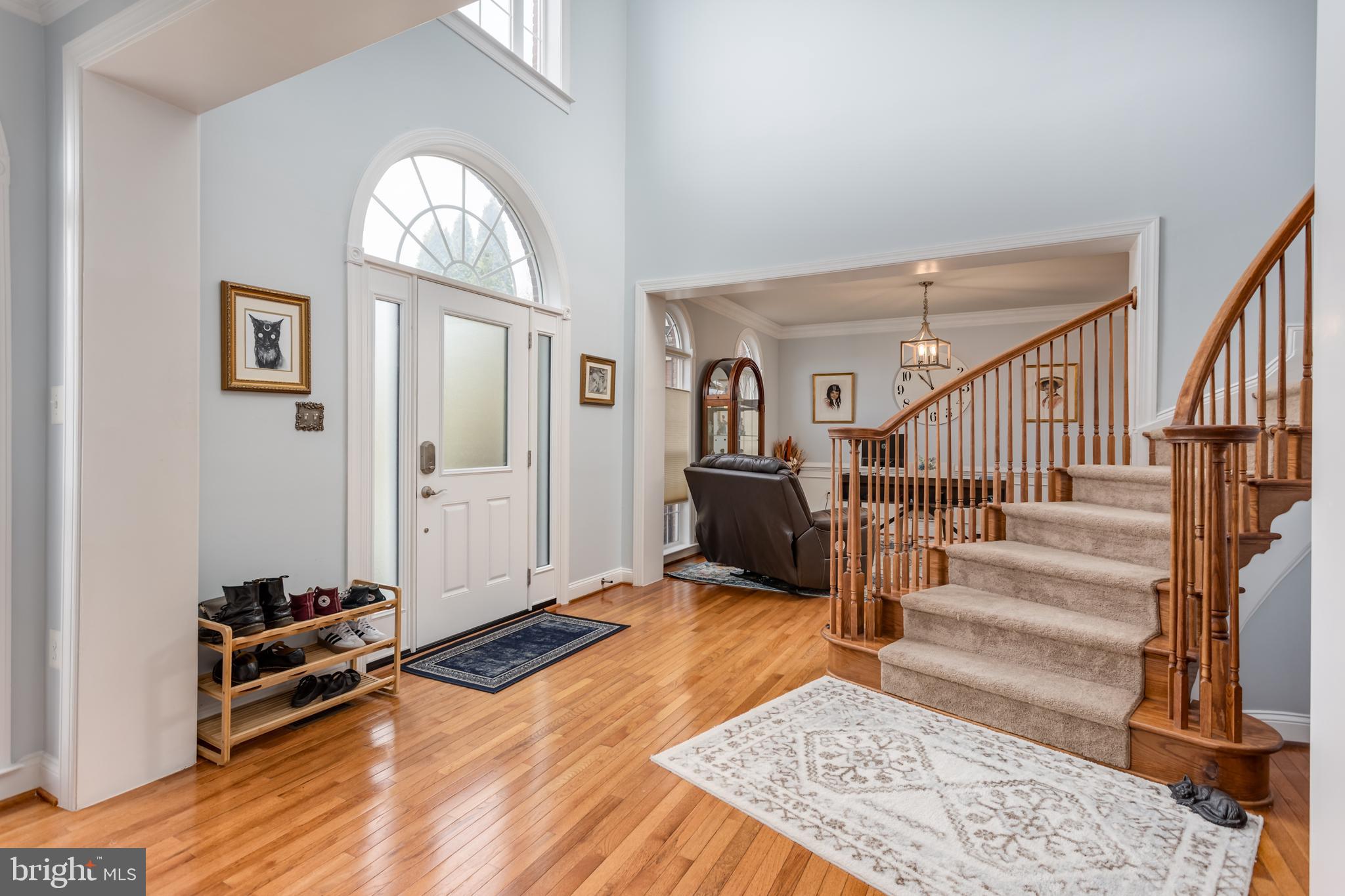 MORLYN HILLS AT MEADOW BRANCH - Residential