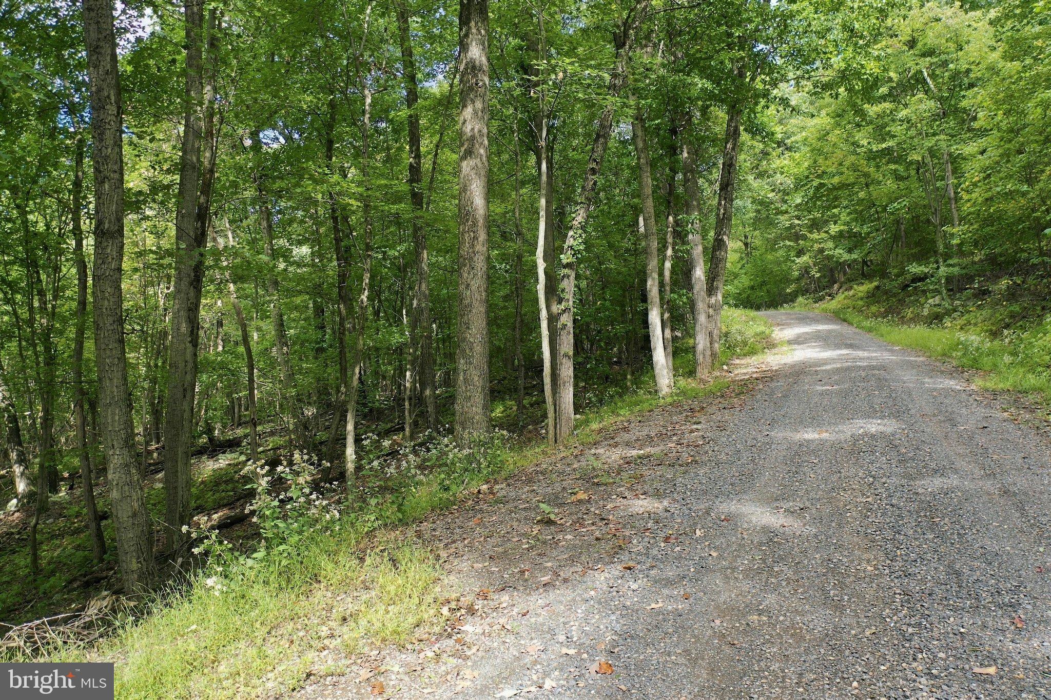 Lot 69 RED MAPLE DRIVE