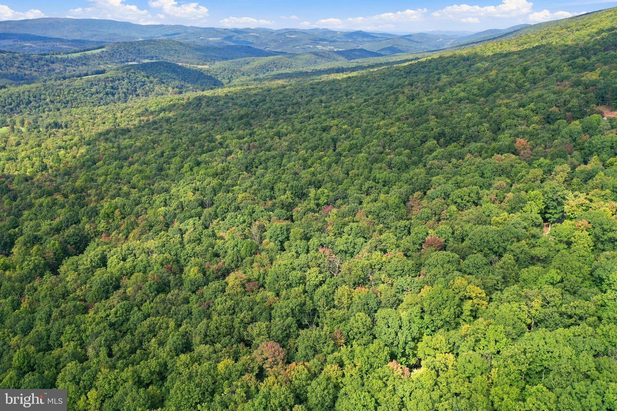 Lot 69 RED MAPLE DRIVE
