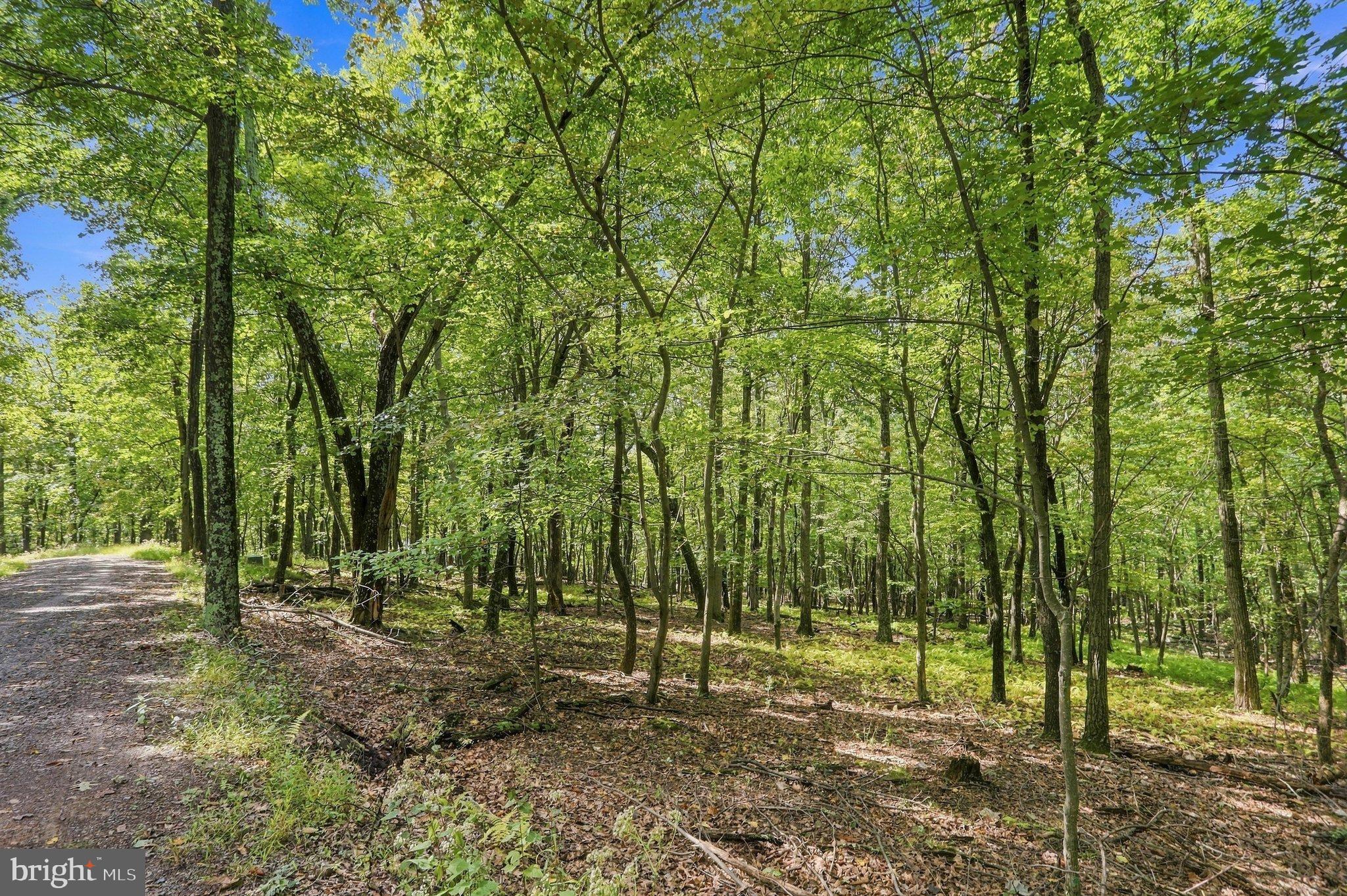 Lot 69 RED MAPLE DRIVE