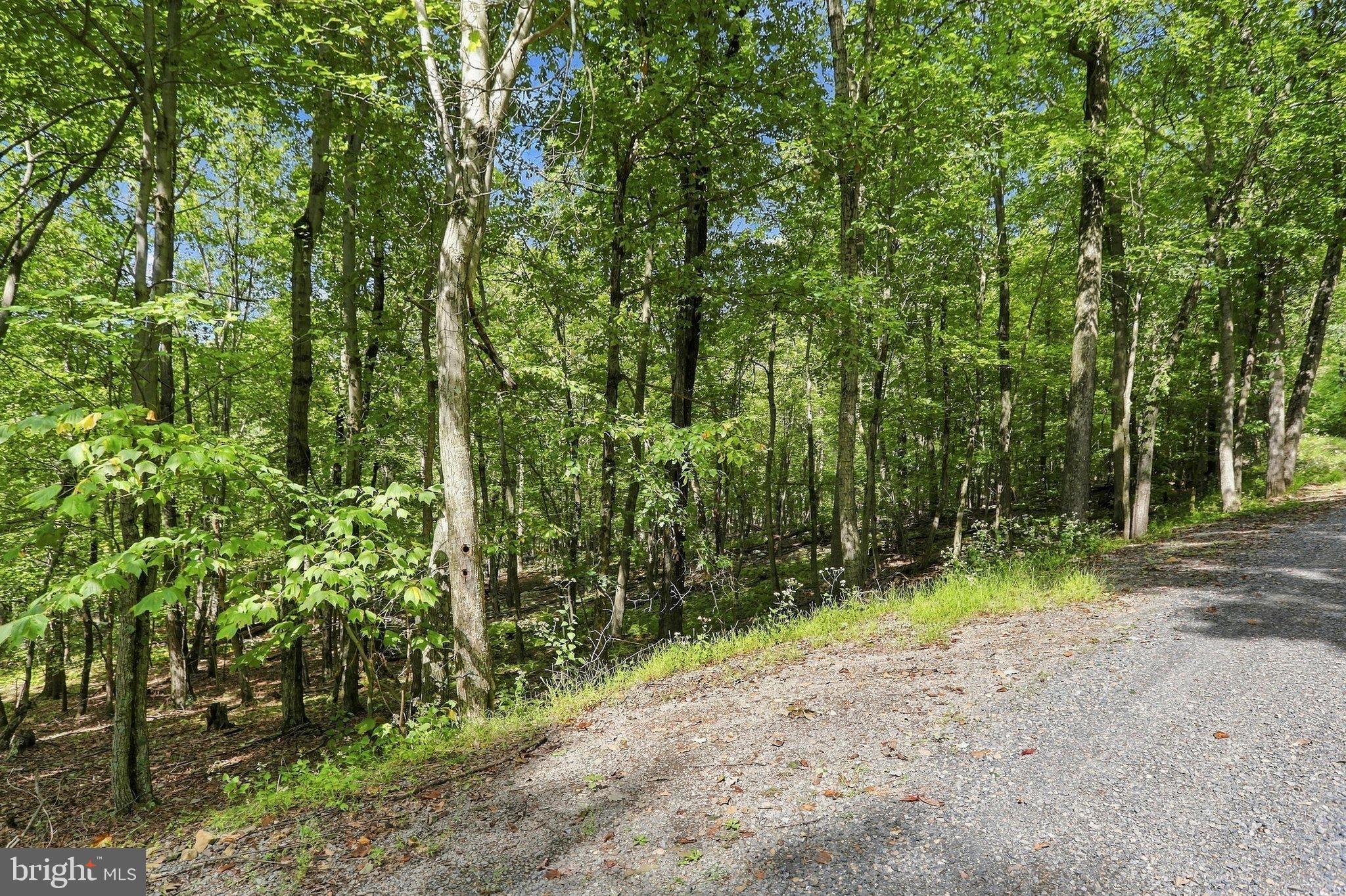 Lot 69 RED MAPLE DRIVE