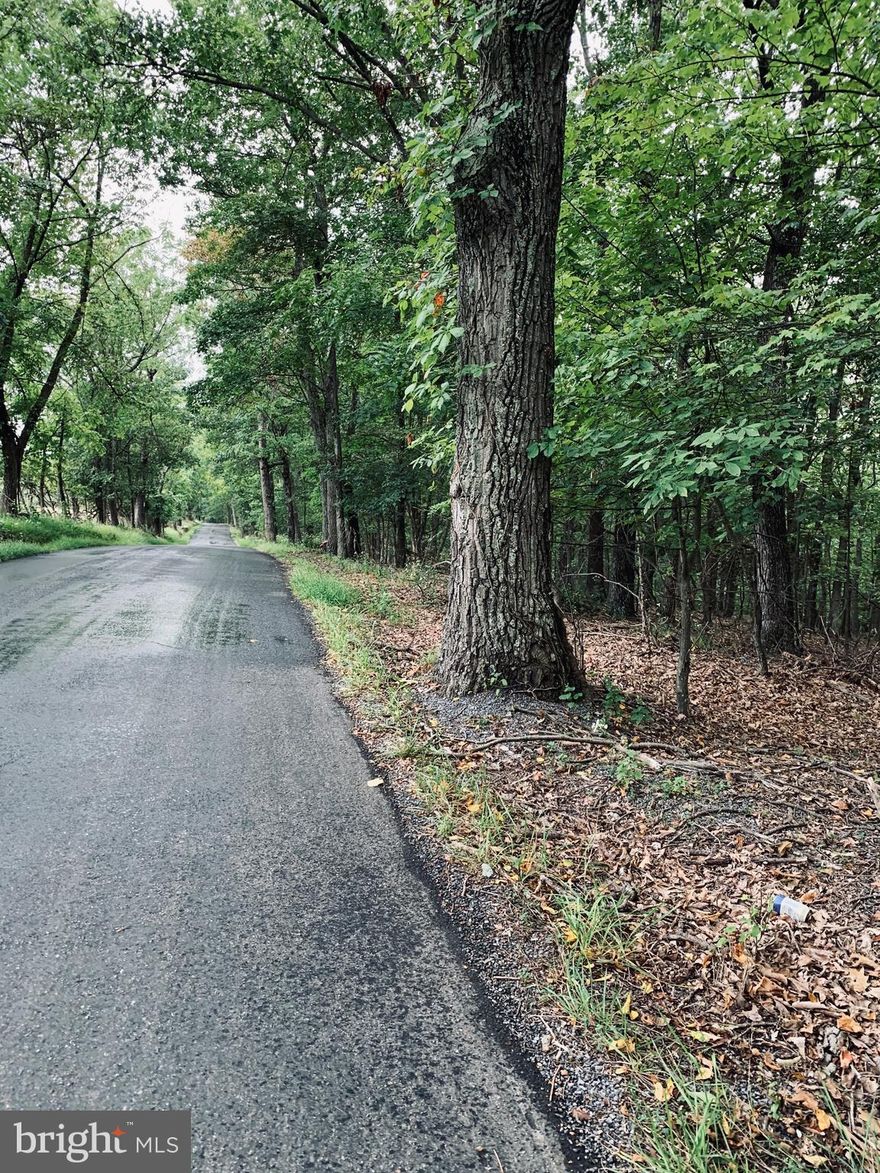 This lot is a really nice wooded  5 acres of land. Total road frontage and backs to Oak  Forest SD. there is road access into the property at the southern corner. Easily accessible with a gradual slope then levels out. Good location to Va and 11 miles south of historic  Berkeley Springs, It is within a mile of the Cacapon State Park, for golfing, fishing swimming hiking shooting tennis, and dining.  Some views of Sleepy Creek Mountain from the front of the property.  Call today for more details.