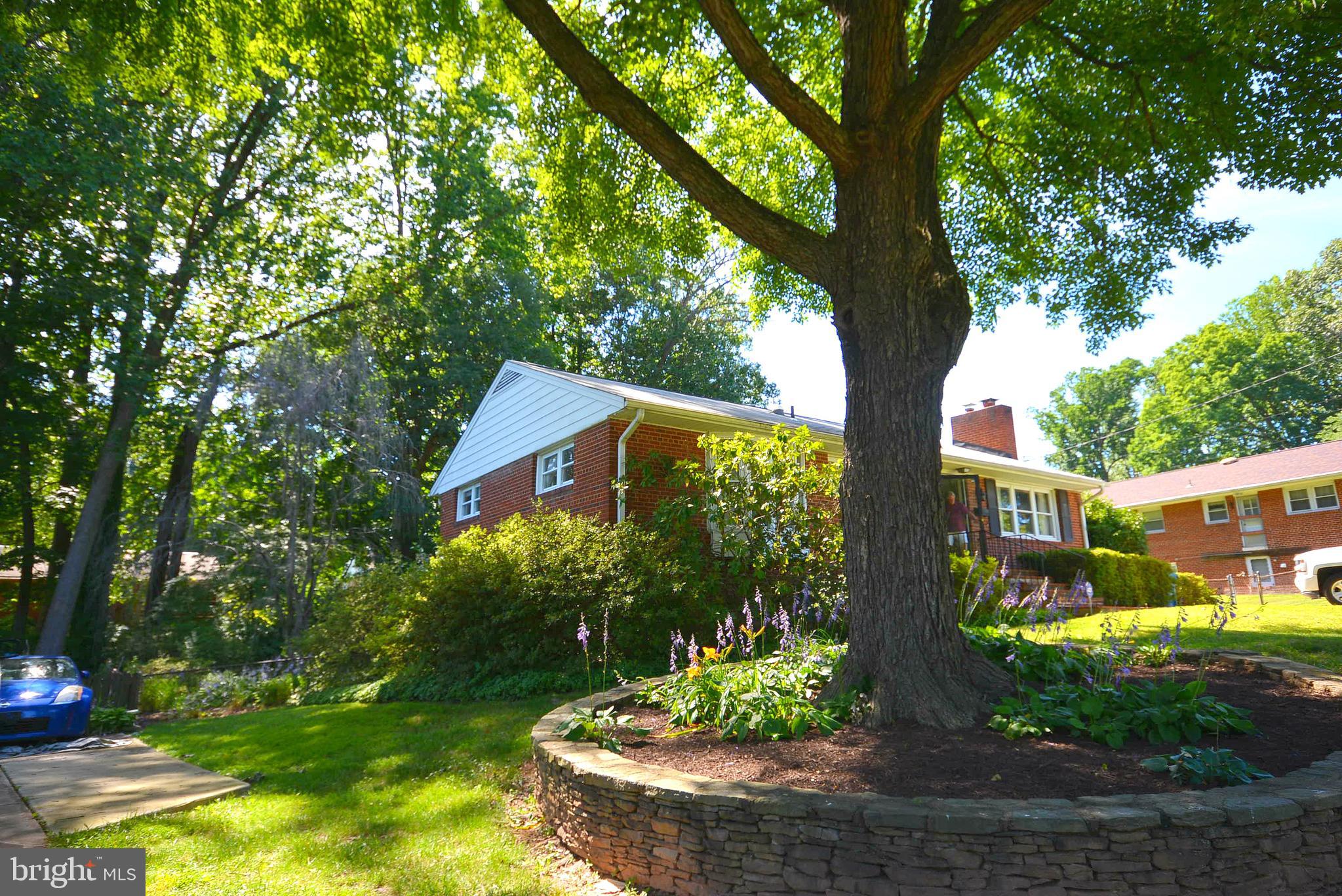 NORTH SPRINGFIELD - Residential