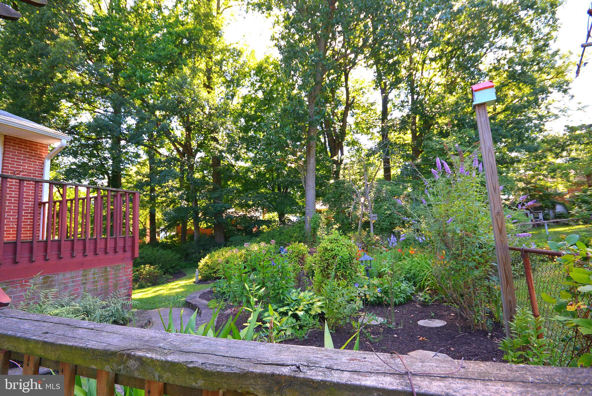 NORTH SPRINGFIELD - Residential