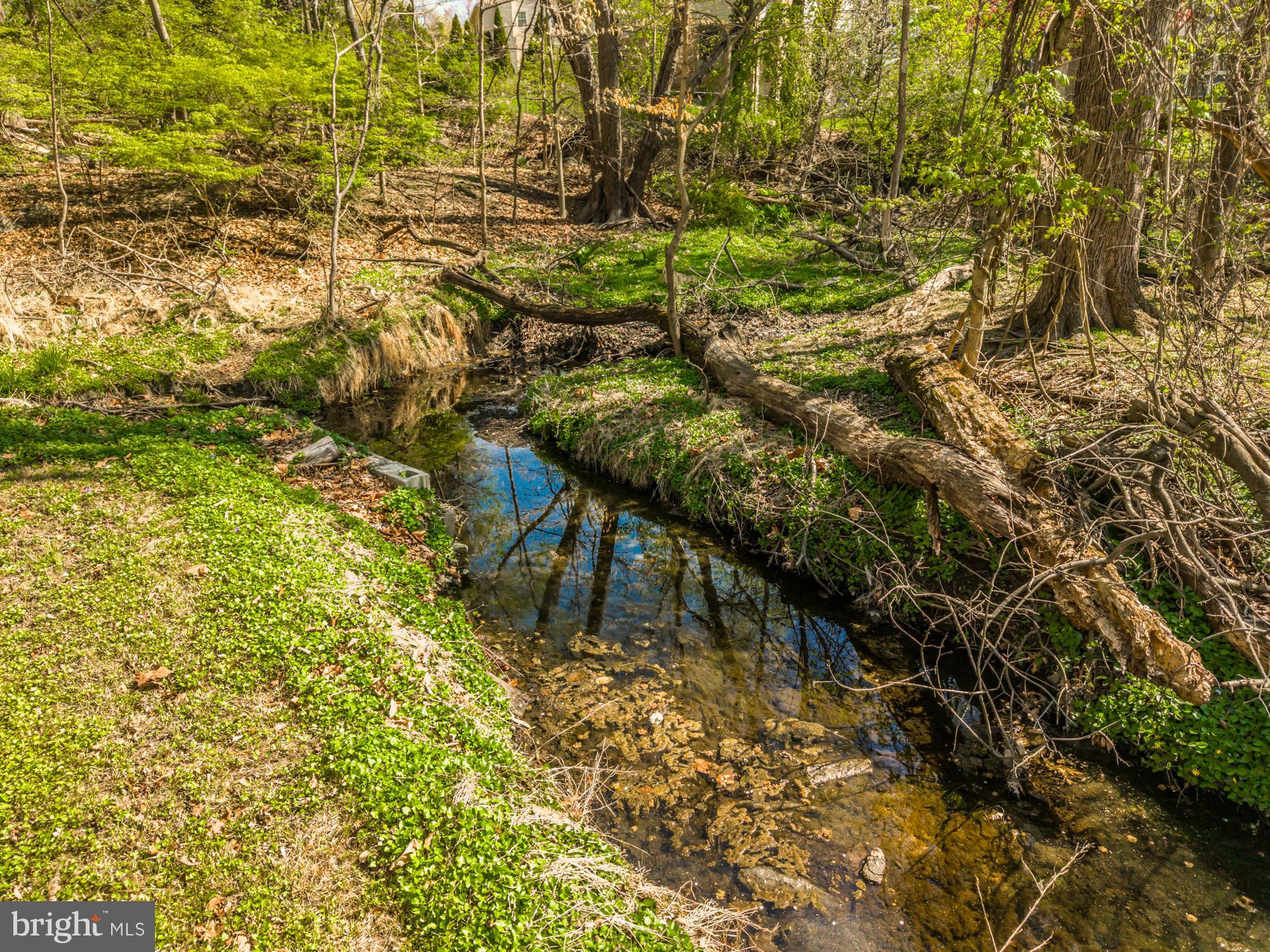 SPRINGFIELD - Residential