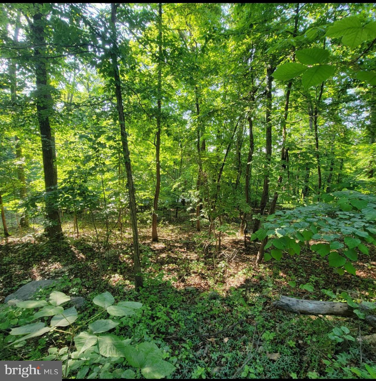 WEST RIDGE HILLS - Land