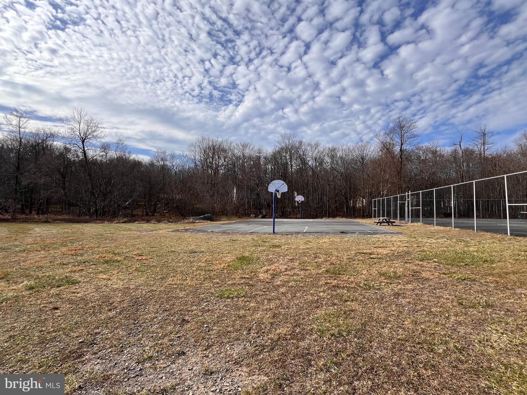 POCONO COUNTRY PLACE - Residential