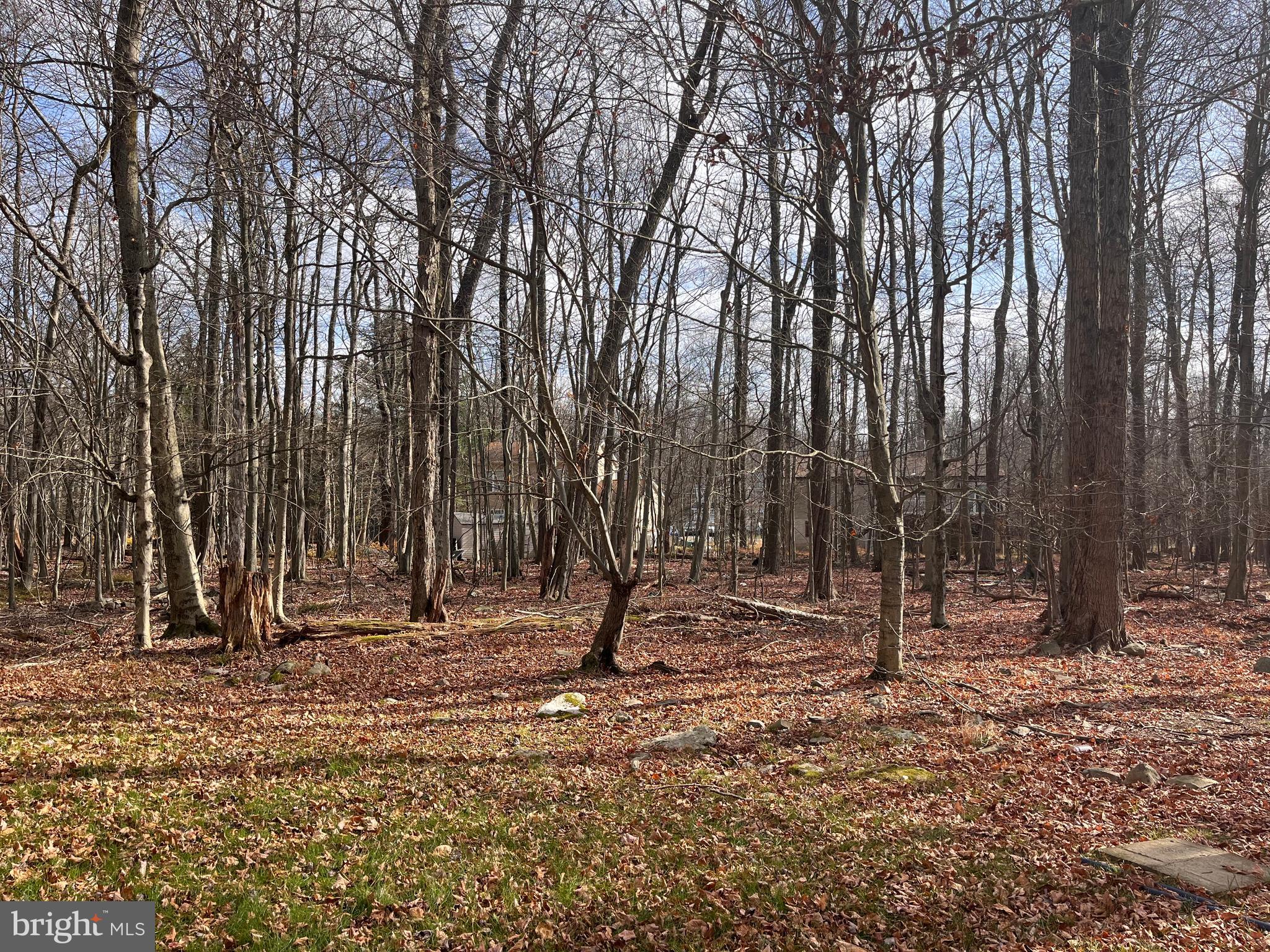 POCONO COUNTRY PLACE - Residential