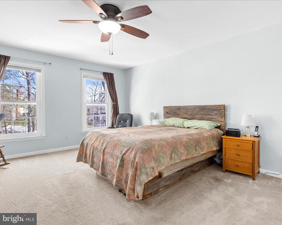 RIDING WOODS - Residential