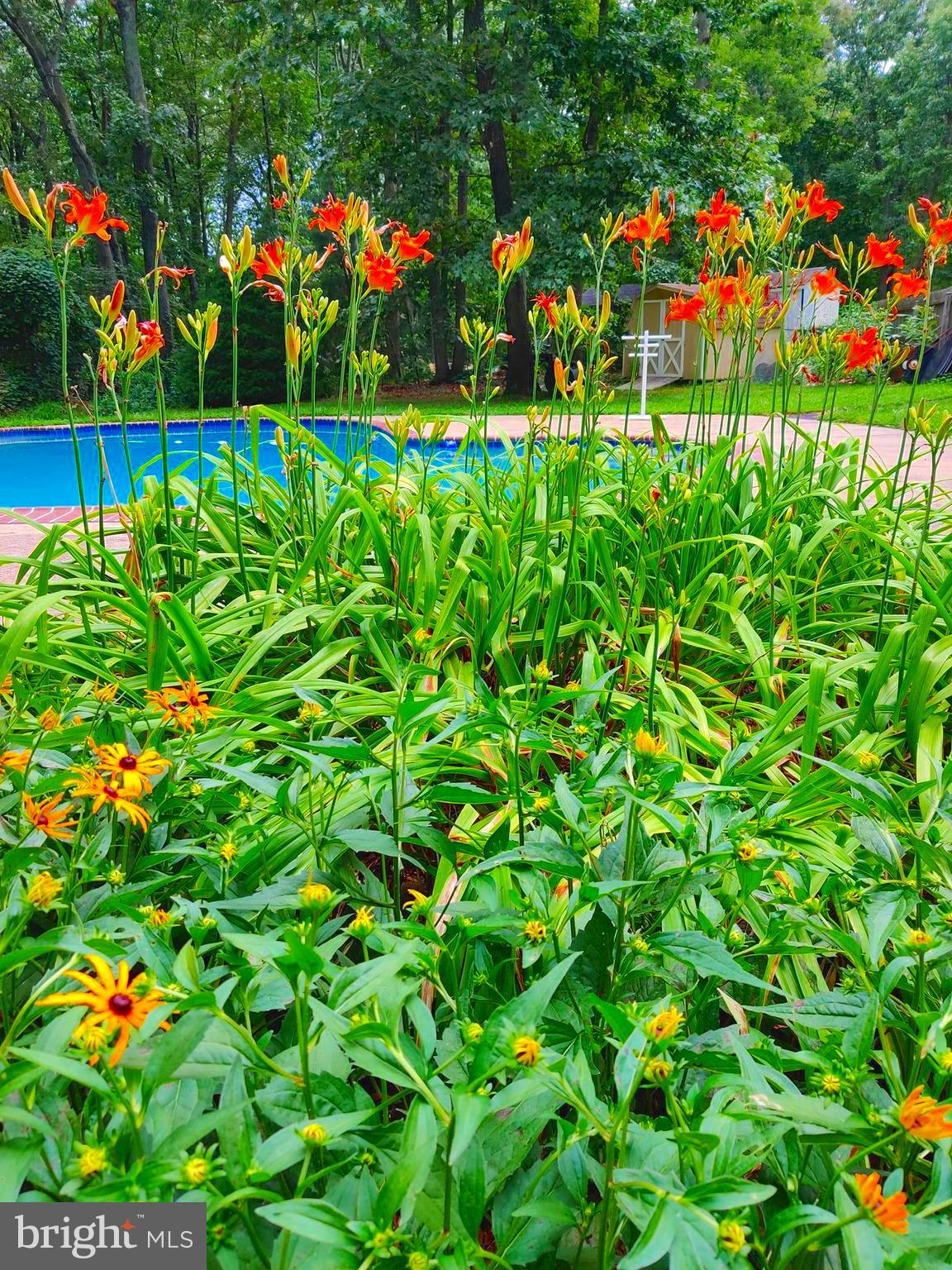 RIDING WOODS - Residential