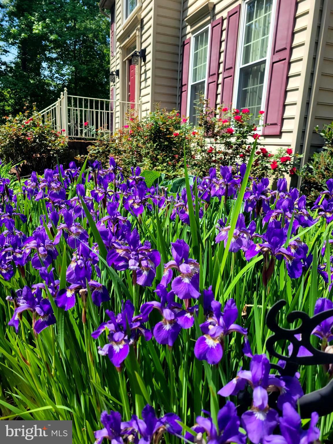 RIDING WOODS - Residential