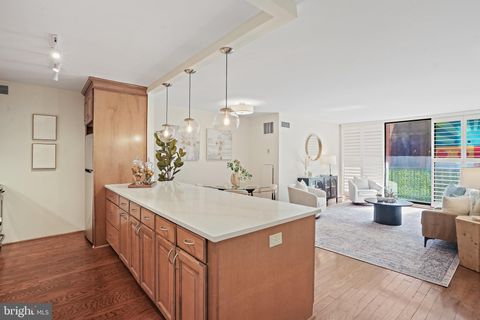 2555 PENNSYLVANIA AVENUE NW 407 WASHINGTON DC 20037