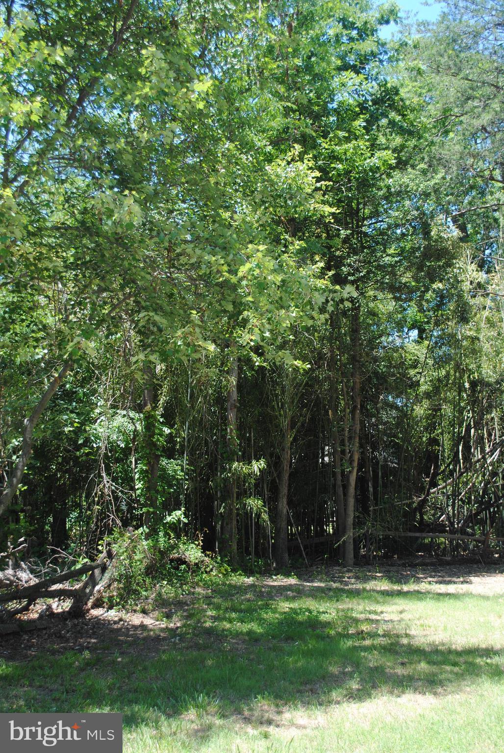 BANNISTER - Residential