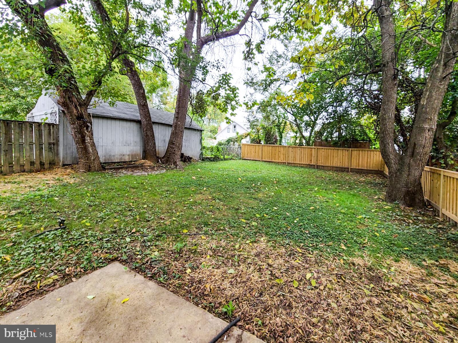 MOUNT RAINIER - Residential