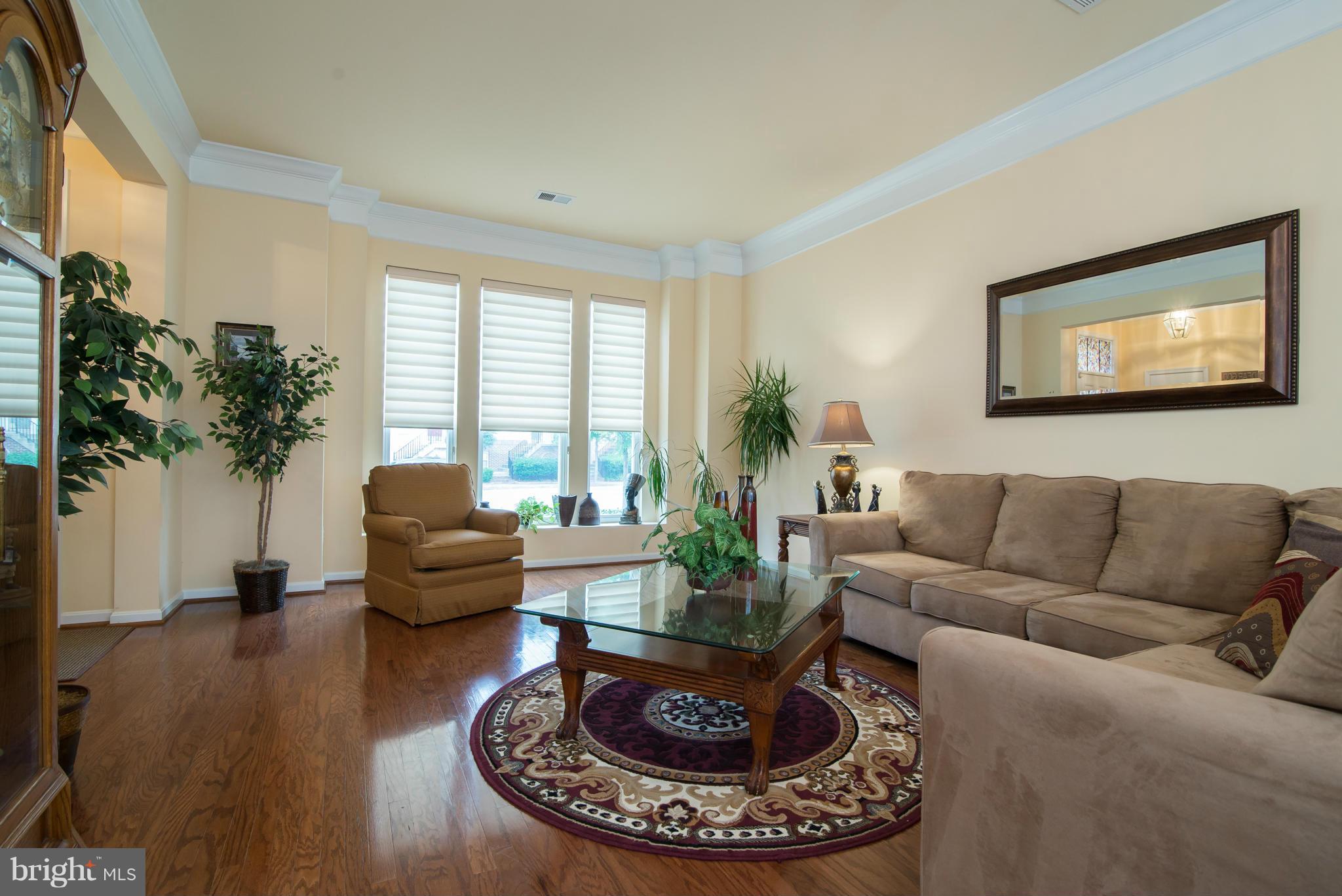 BELMONT BAY - Residential