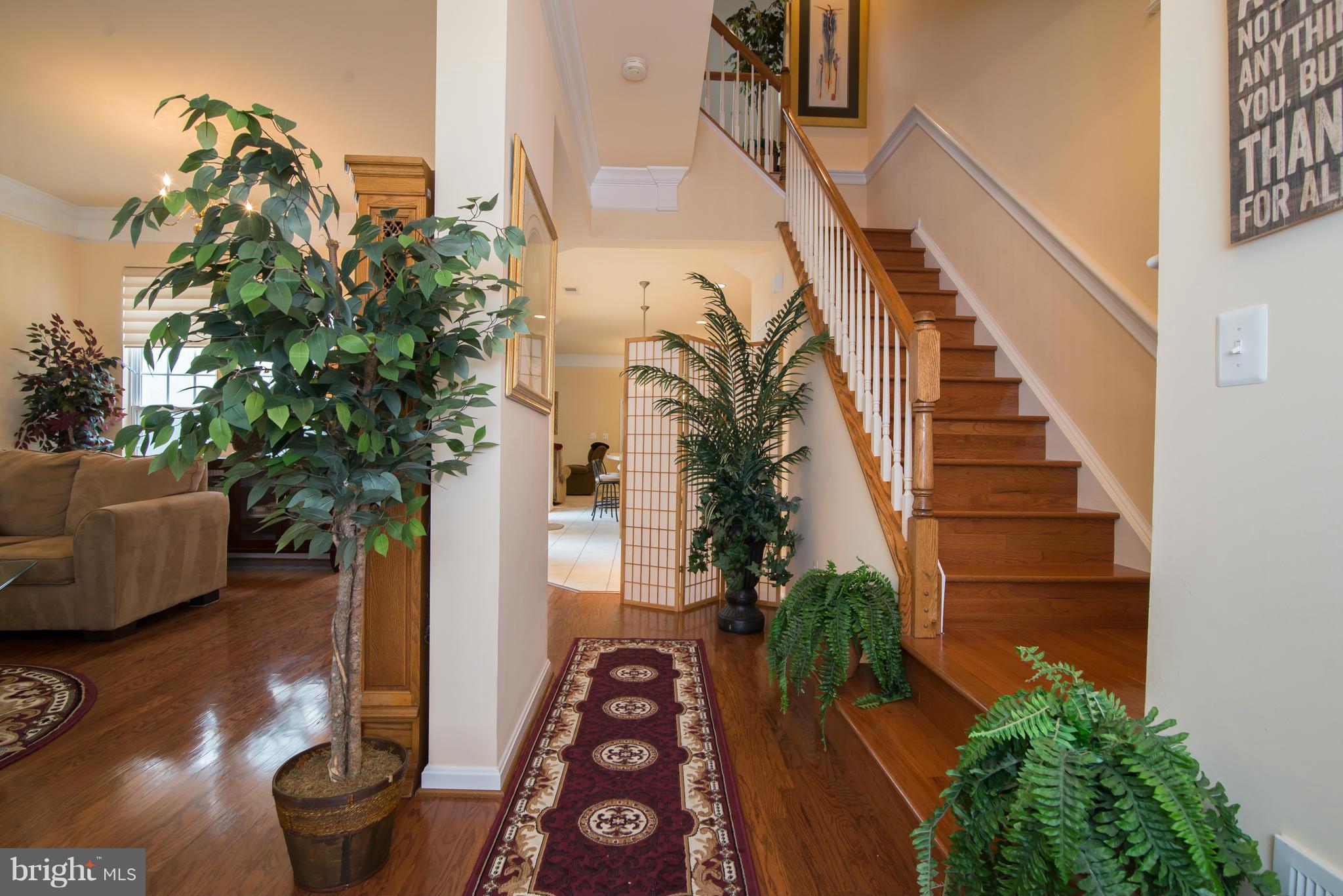 BELMONT BAY - Residential