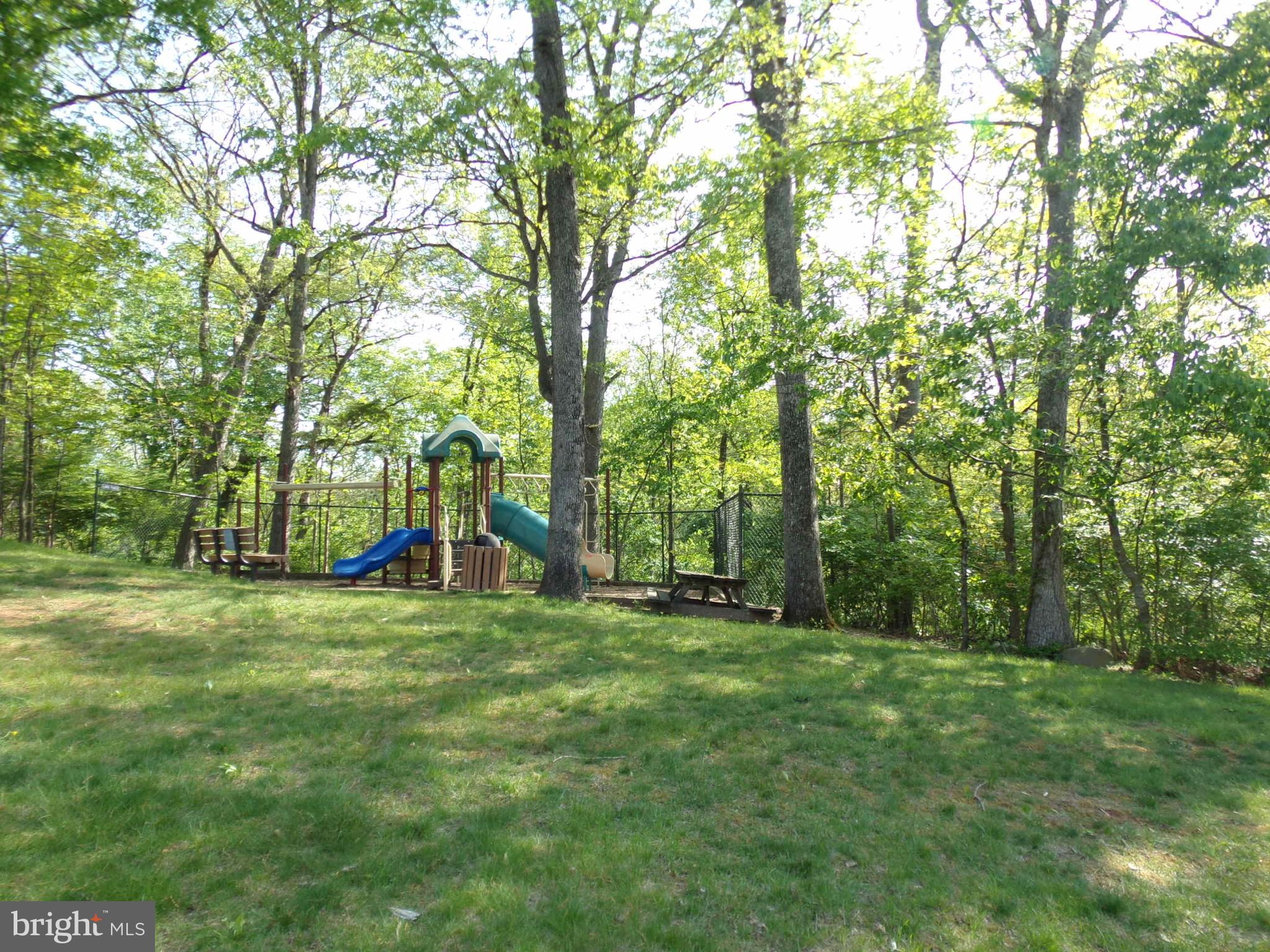 GREAT FALLS FOREST - Residential